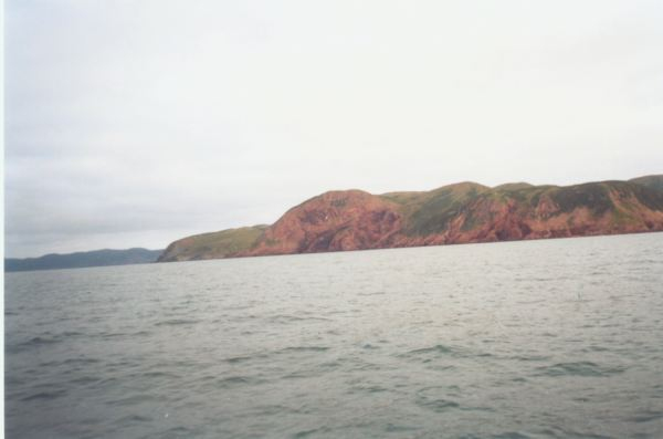 578: Red Island. "Up on the Head". (2002) [courtesy of Heather Walsh]